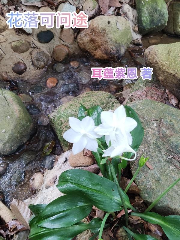 花落成牢